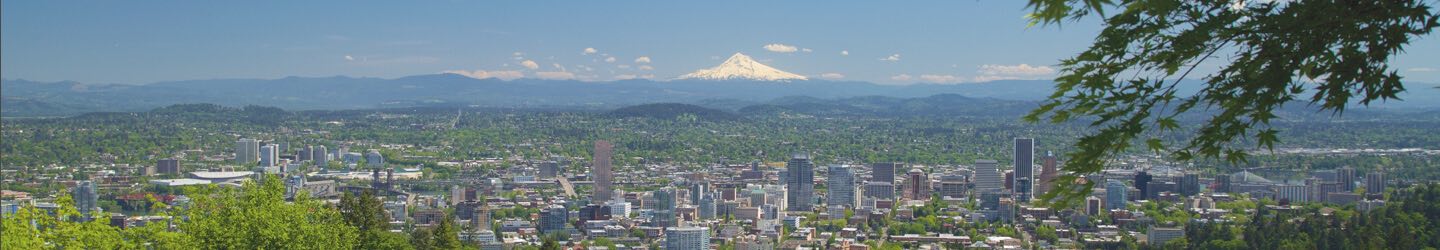 Portland city with mountain range view
