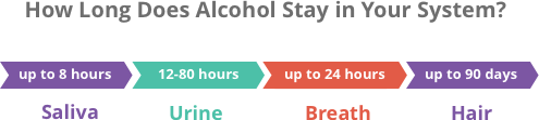How long is alcohol detectable in your system?