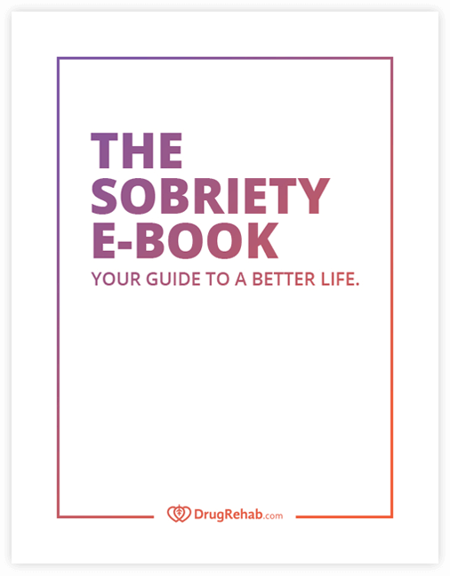 Cover of The Sobriety Ebook