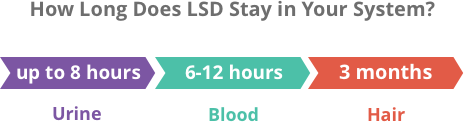 How long is LSD detectable in your system?