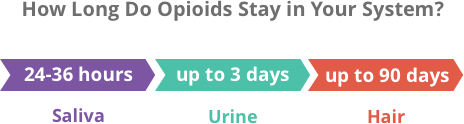 Saliva, urine and hair can detect opioids for 2 days, 1 week and 90 days, respectively.