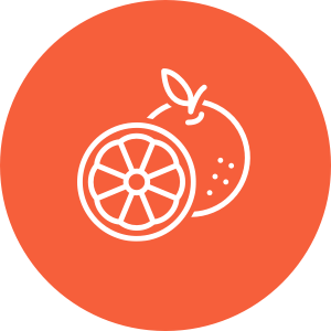Orange fruit half icon